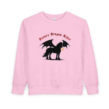 Toddler Sweatshirt