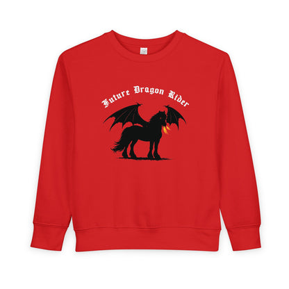 Toddler Sweatshirt