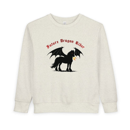 Toddler Sweatshirt