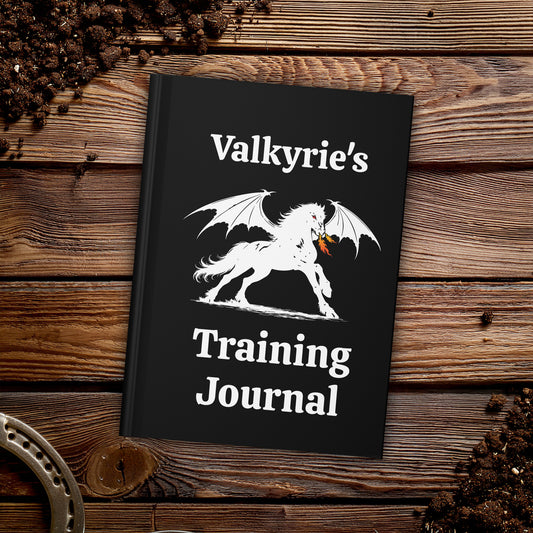 Personalized Black Dragon Rider Horse Training Journal Fantasy Matte Hardcover Journal
