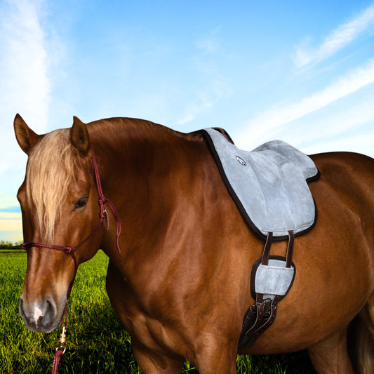 Original Brockamp Special Bareback Pad - Pre-Order